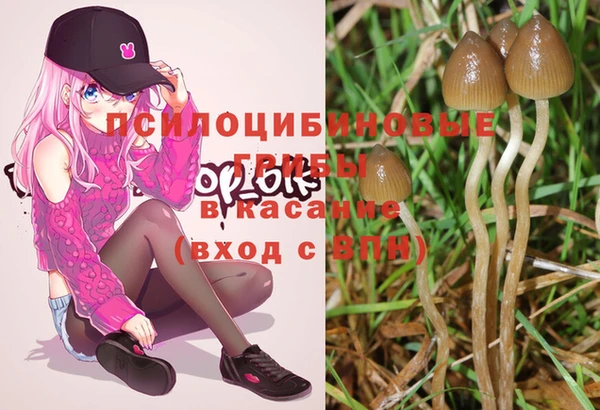 прущая мука Абдулино