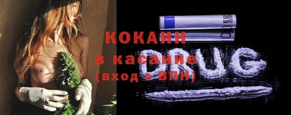 шишки Абинск