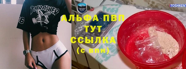 шишки Абинск