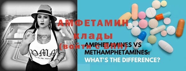 шишки Абинск