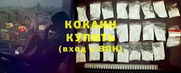шишки Абинск