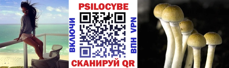 Галлюциногенные грибы мухоморы  где купить наркотик  Шарыпово 